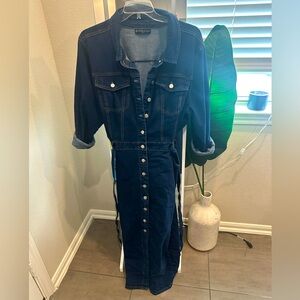 Fashion to Figure Denim Button-Down Long Sleeve Coat Dress